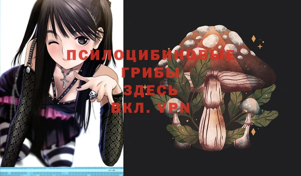тгк Киренск