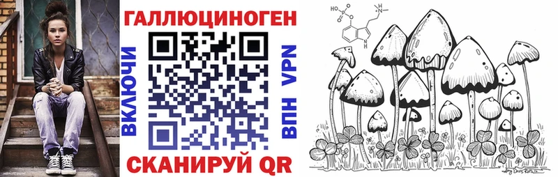 Галлюциногенные грибы MAGIC MUSHROOMS  Купить закладки  Темников 